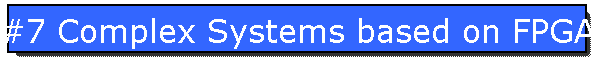 #7 Complex Systems based on FPGA's