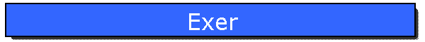 Exer